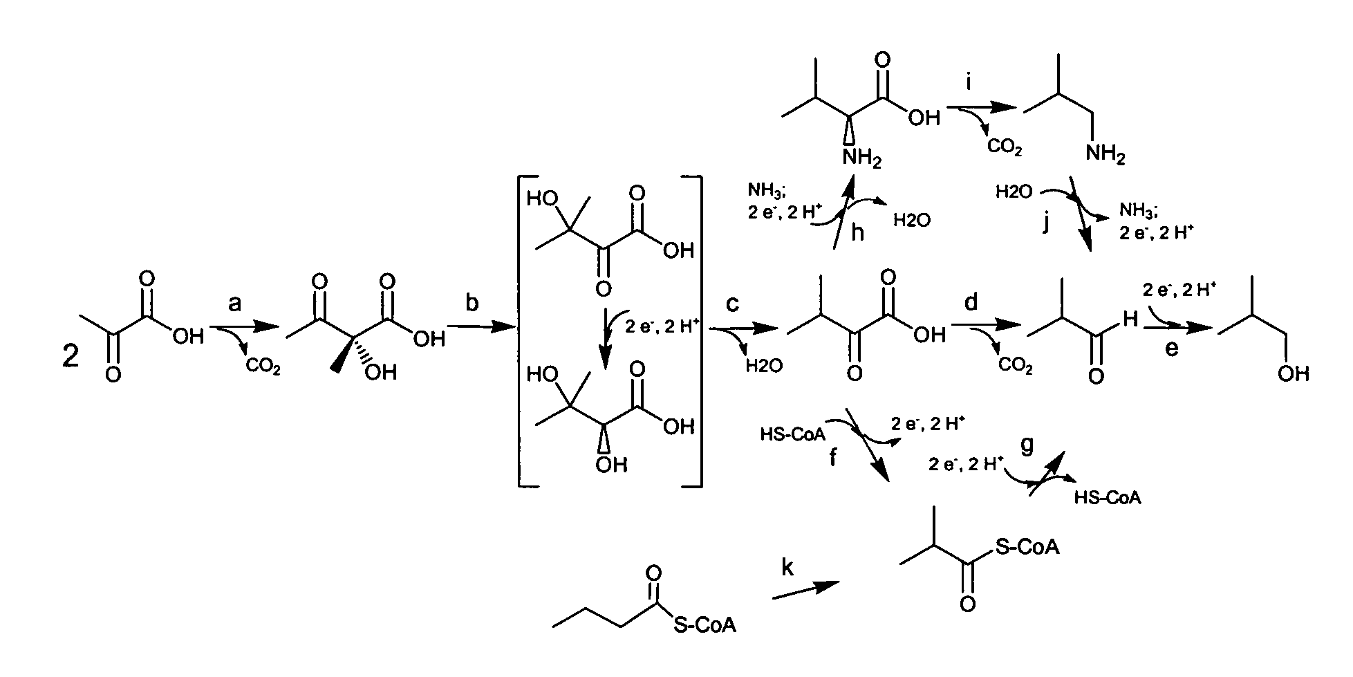 Fermentive production of four carbon alcohols