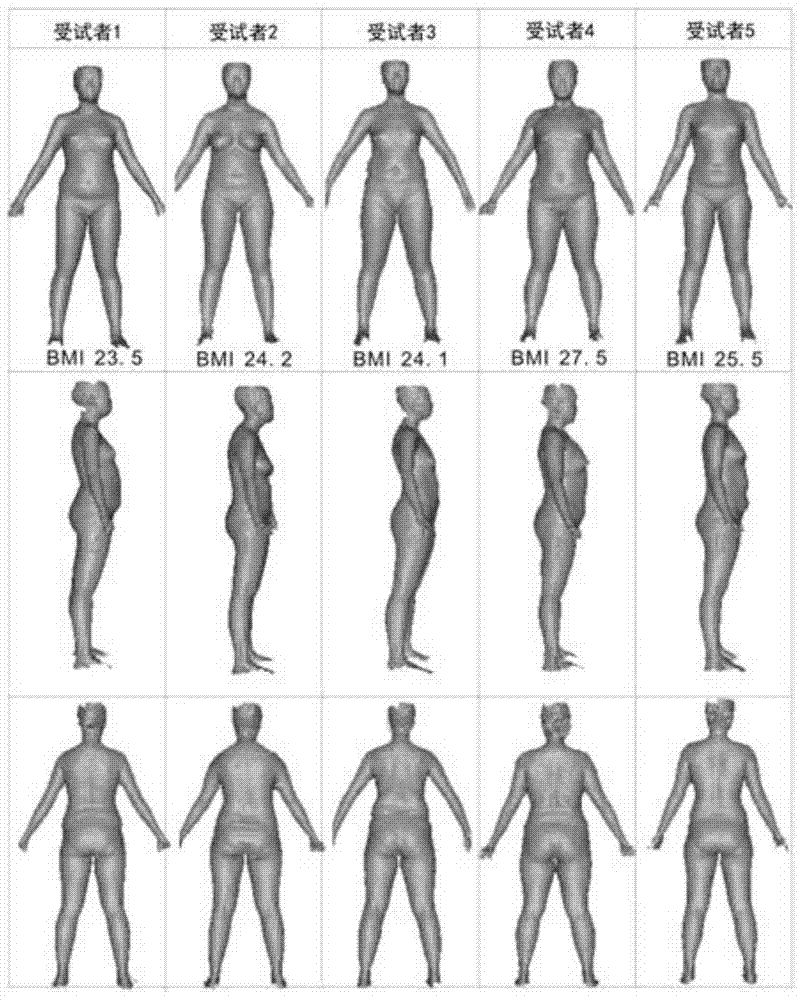 A tights design method based on human body surface pressure and slow pressure tights