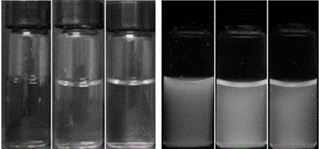 Cheap preparation method of yellow emission carbon quantum dots