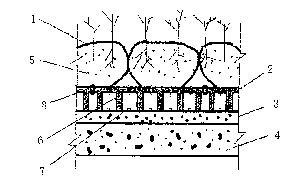 Drainage board and nutrition bag combined roof greening layer