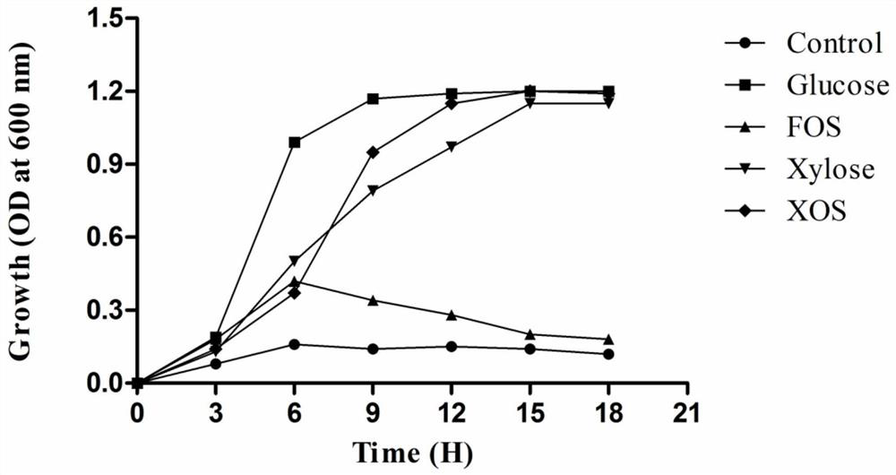 A Strain of Pediococcus lactis bcc-1 Using Highly Efficient Xylo-oligosaccharides and Its Application