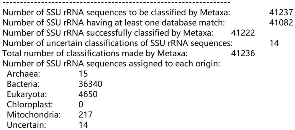 Rapid quantitative detection method of novel chloramphenicol resistance gene and application thereof