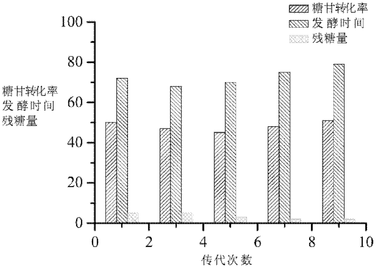 Glycerol production process based on Candida krusei