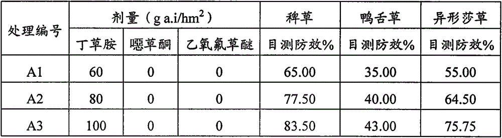 Pesticide composition and pesticide preparation as well as application thereof