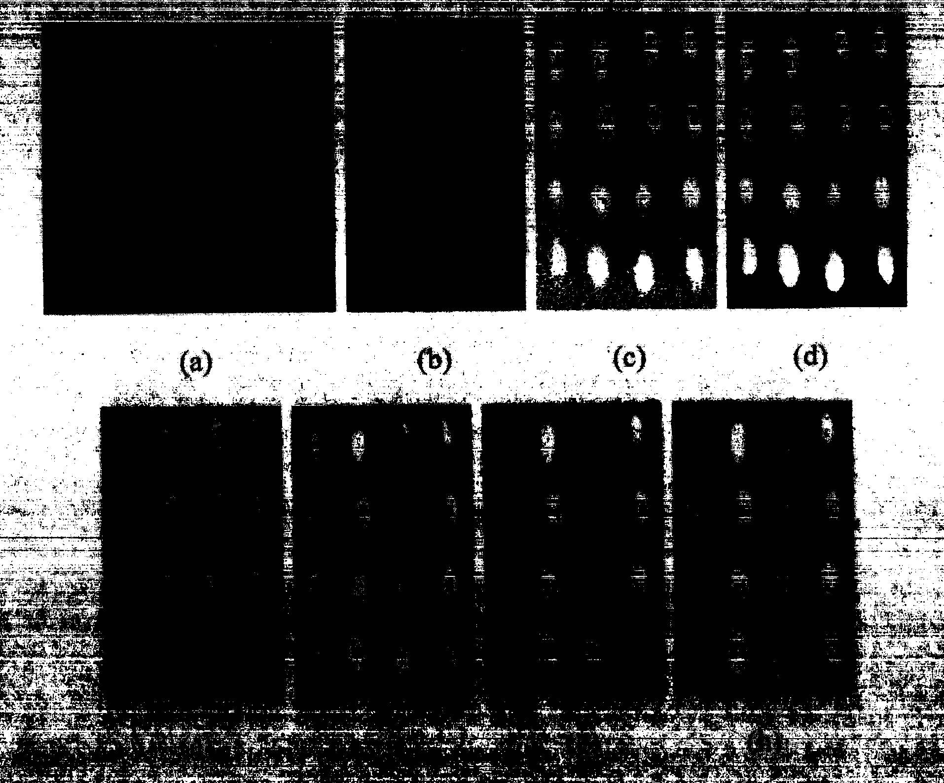 Hyperspectral image based overripe Lonicera edulis fruit identification method