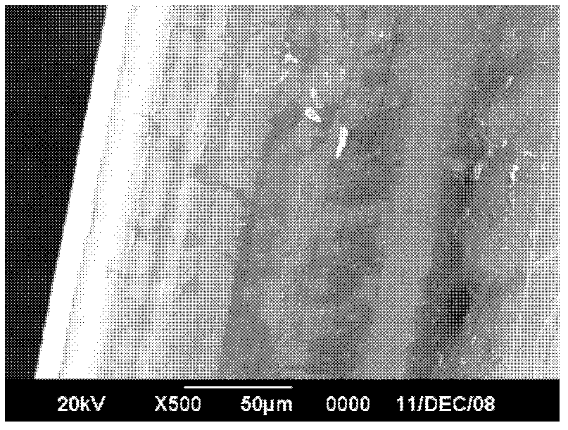 Method for testing adhesive force life of steel wire tire cord in radial tire