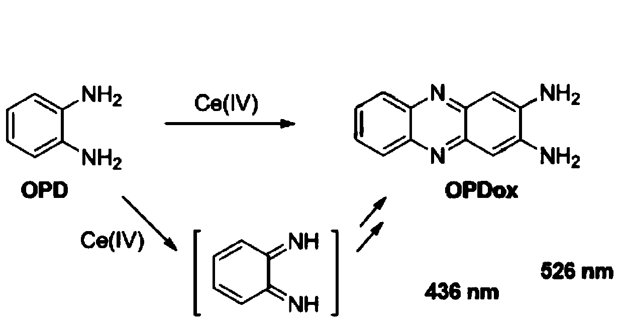 Fluorescence detection reagent for tetravalent cerium ions and fluorescence detection method thereof