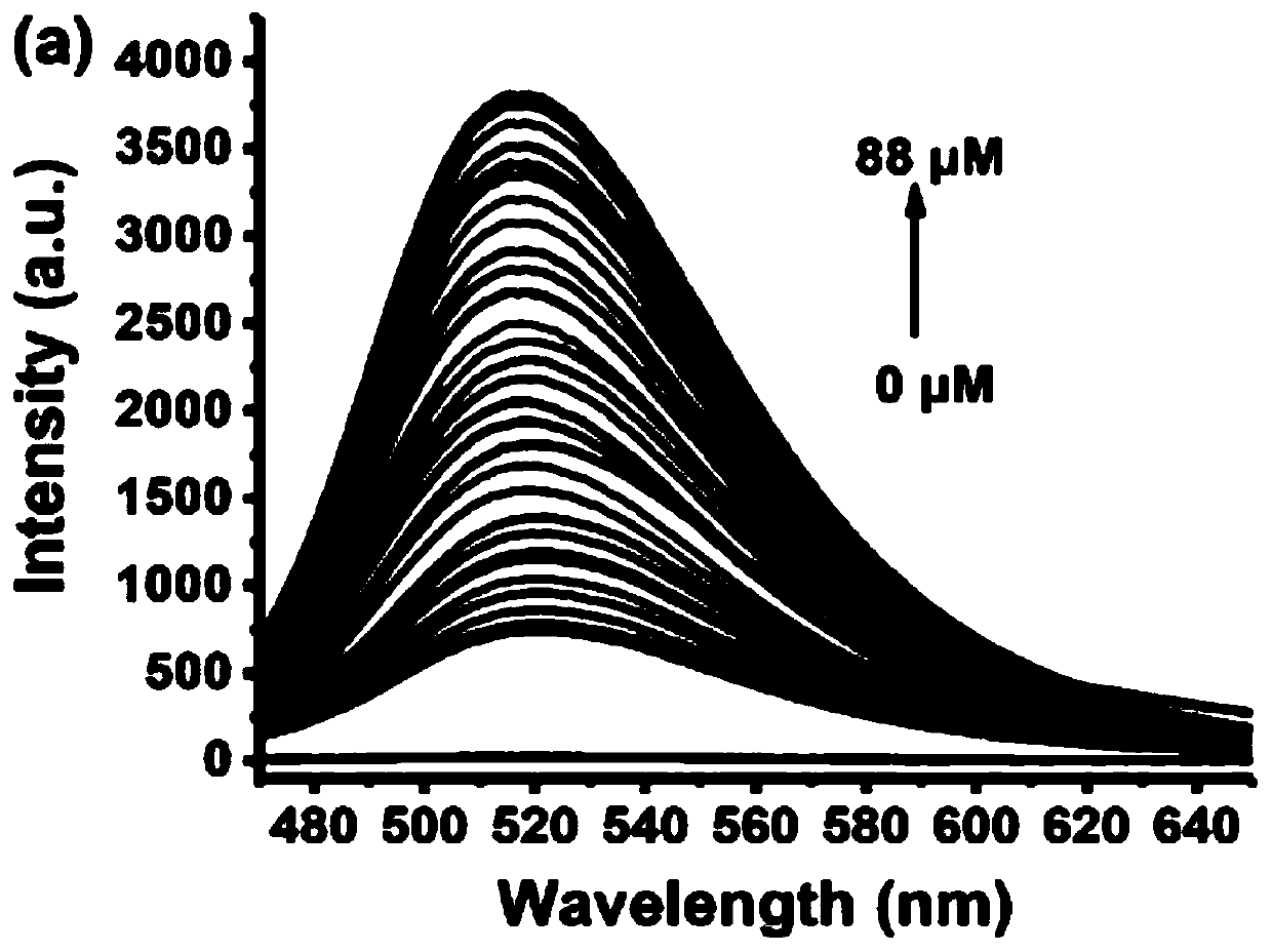 Fluorescence detection reagent for tetravalent cerium ions and fluorescence detection method thereof