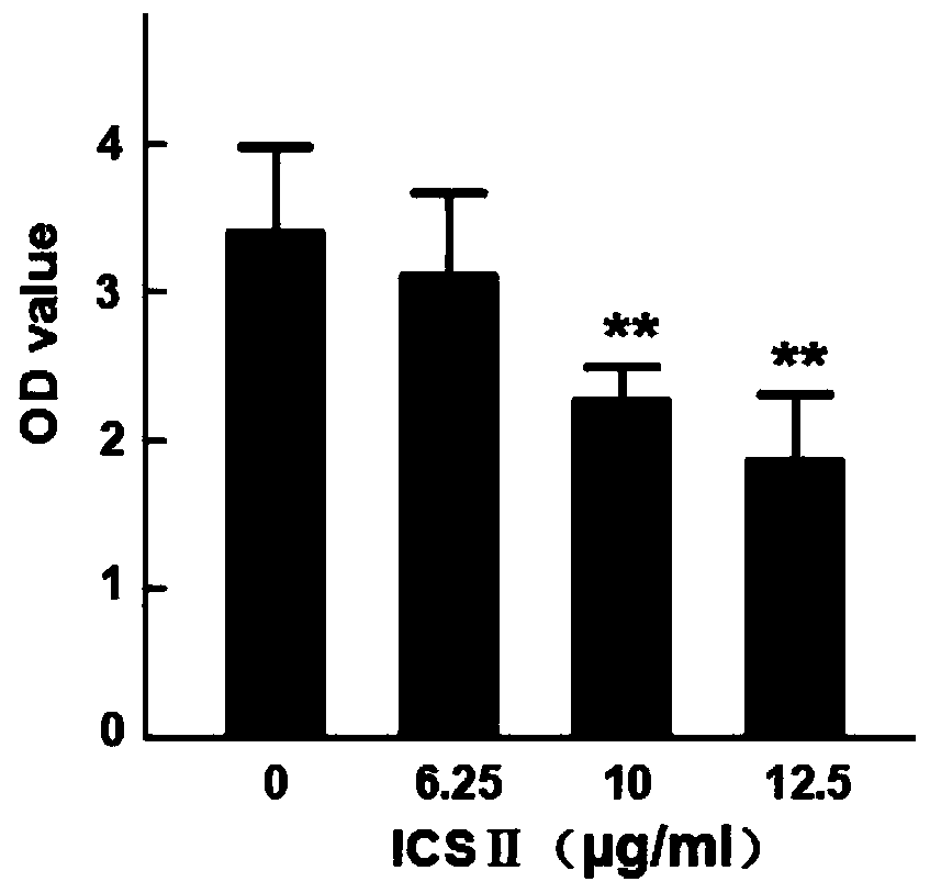 Application of icariside Ⅱ in the preparation of anti-hepatitis B virus products