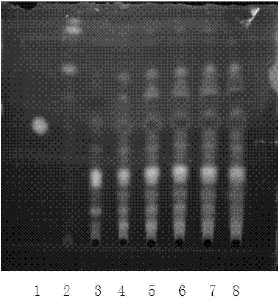 Identification method of Patrinia in traditional Chinese medicine compound