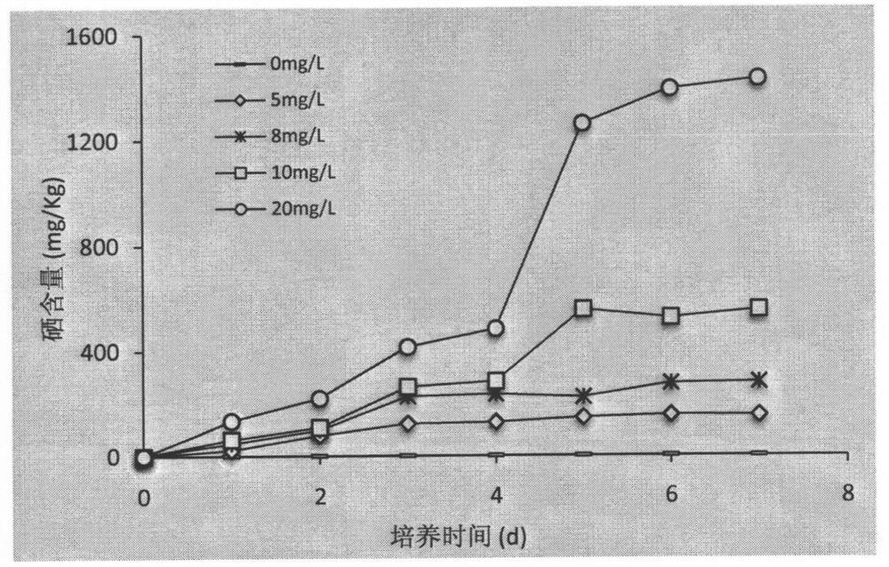 Harvesting method of selenium-enriched chlorella products by diatomite-based positively charged green flocculant