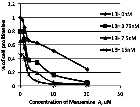 Cell autophagy-based antitumor drug screening method