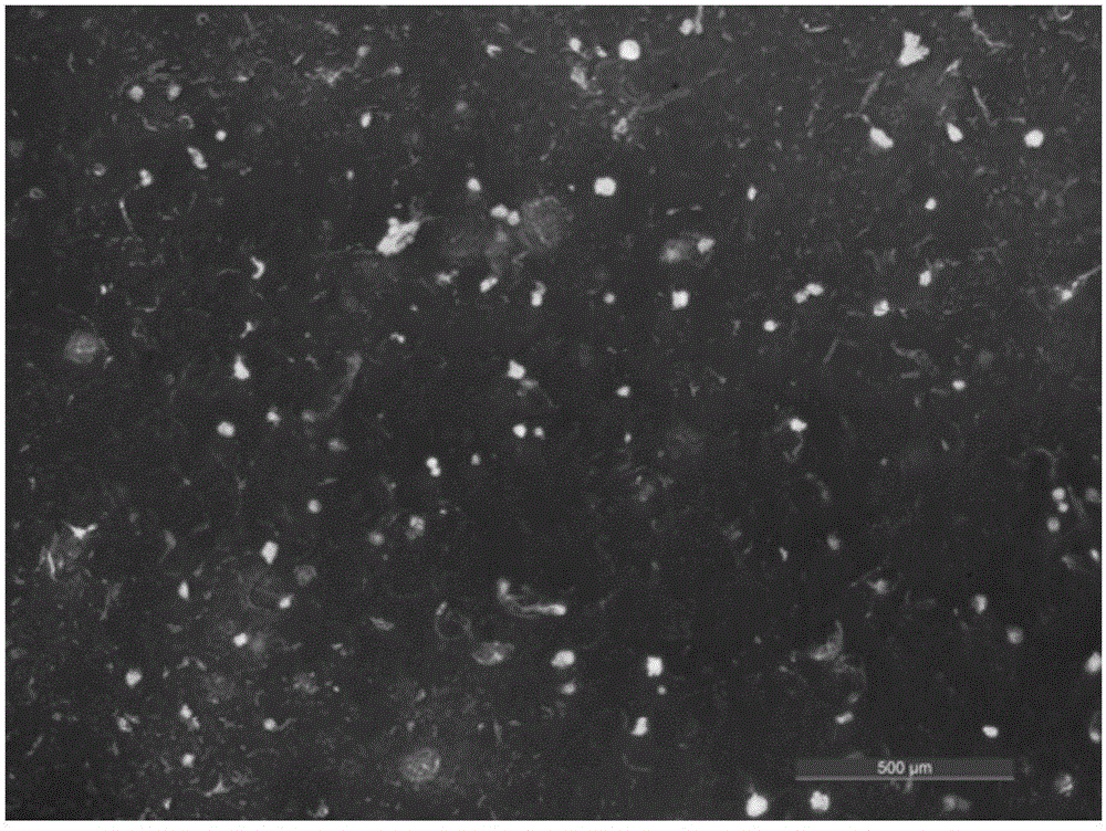 Hydrophobic water-based fluorescent polyurethane paint and preparation method thereof