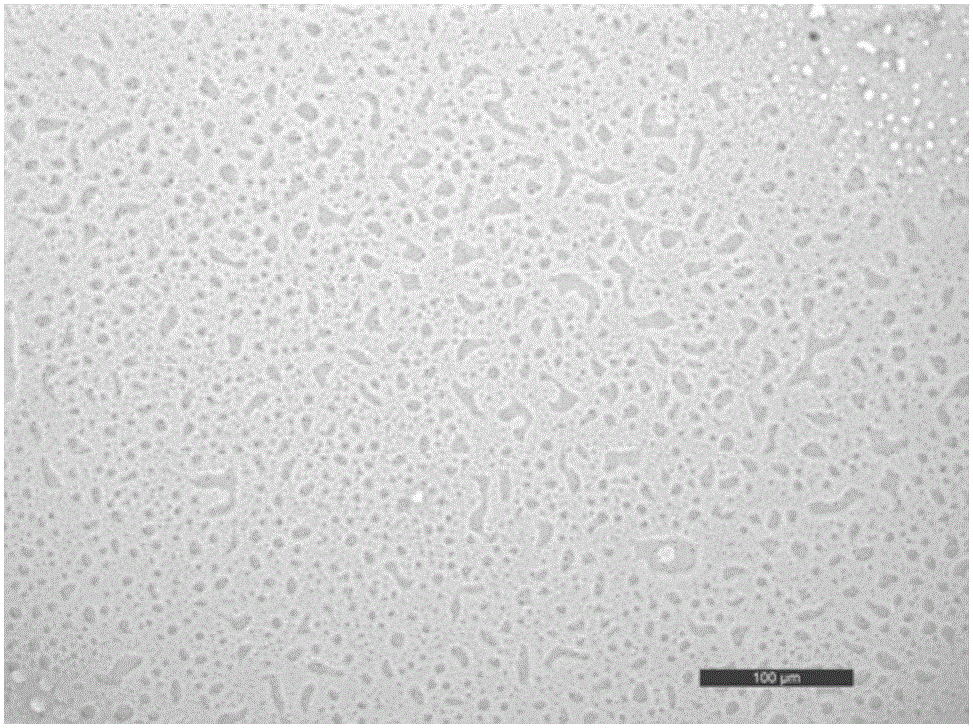 Hydrophobic water-based fluorescent polyurethane paint and preparation method thereof