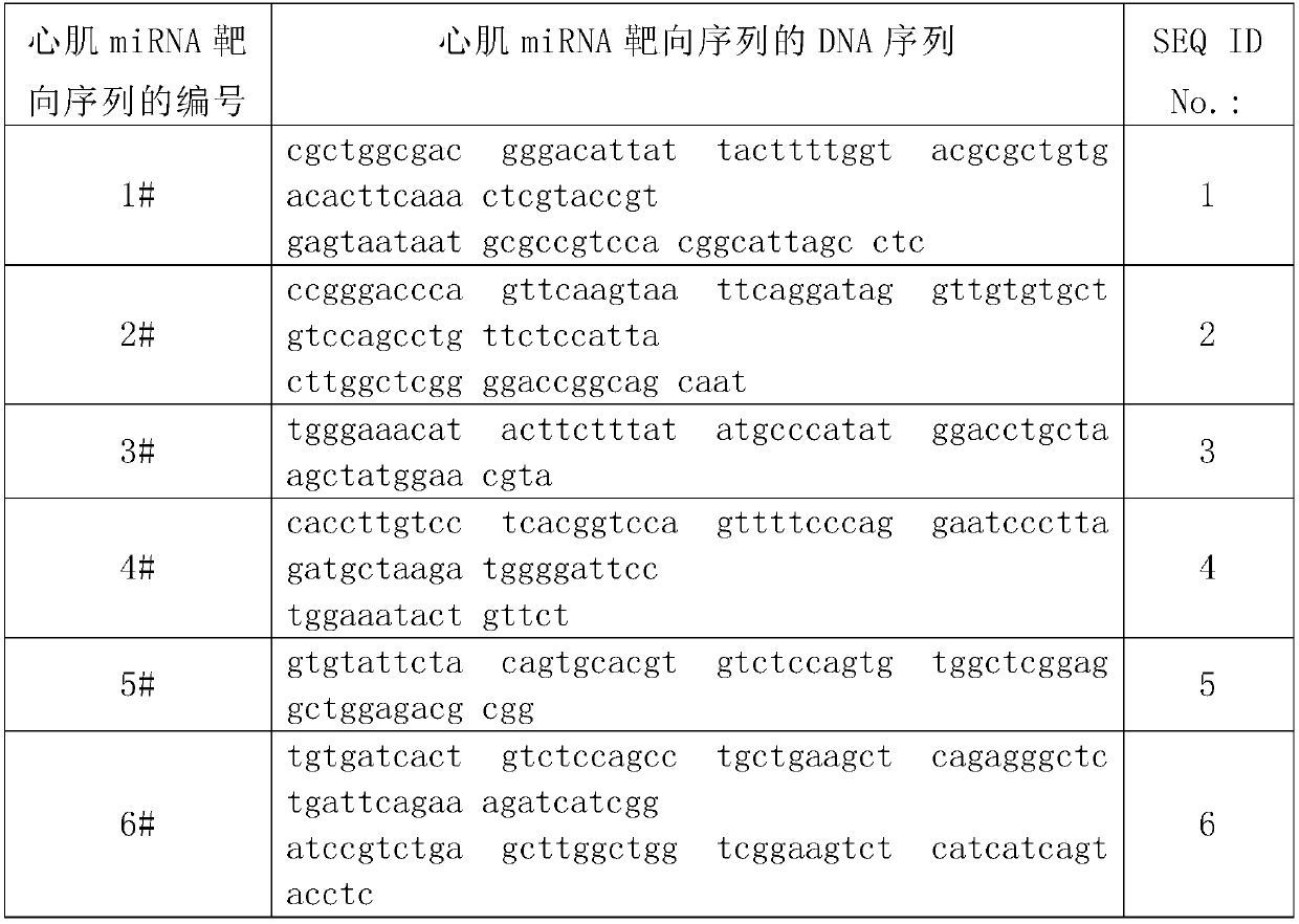 Safe coxsackie virus for treating KRAS mutant tumors, and pharmaceutical composition thereof