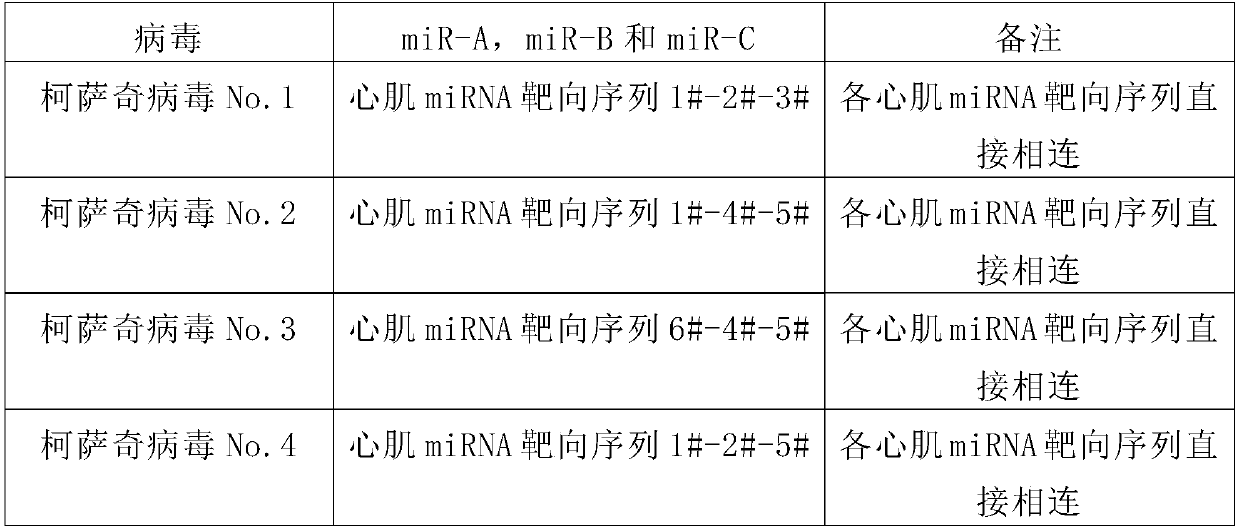 Safe coxsackie virus for treating KRAS mutant tumors, and pharmaceutical composition thereof