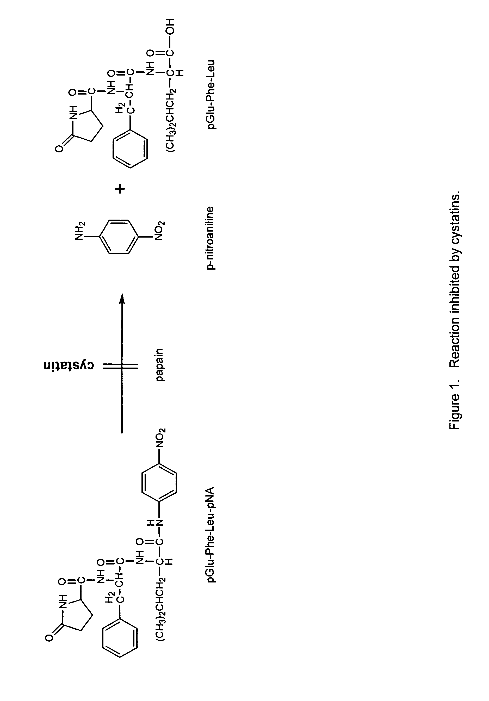 Crop plant cystatin proteinase inhibitors encoding nucleic acids and methods of use