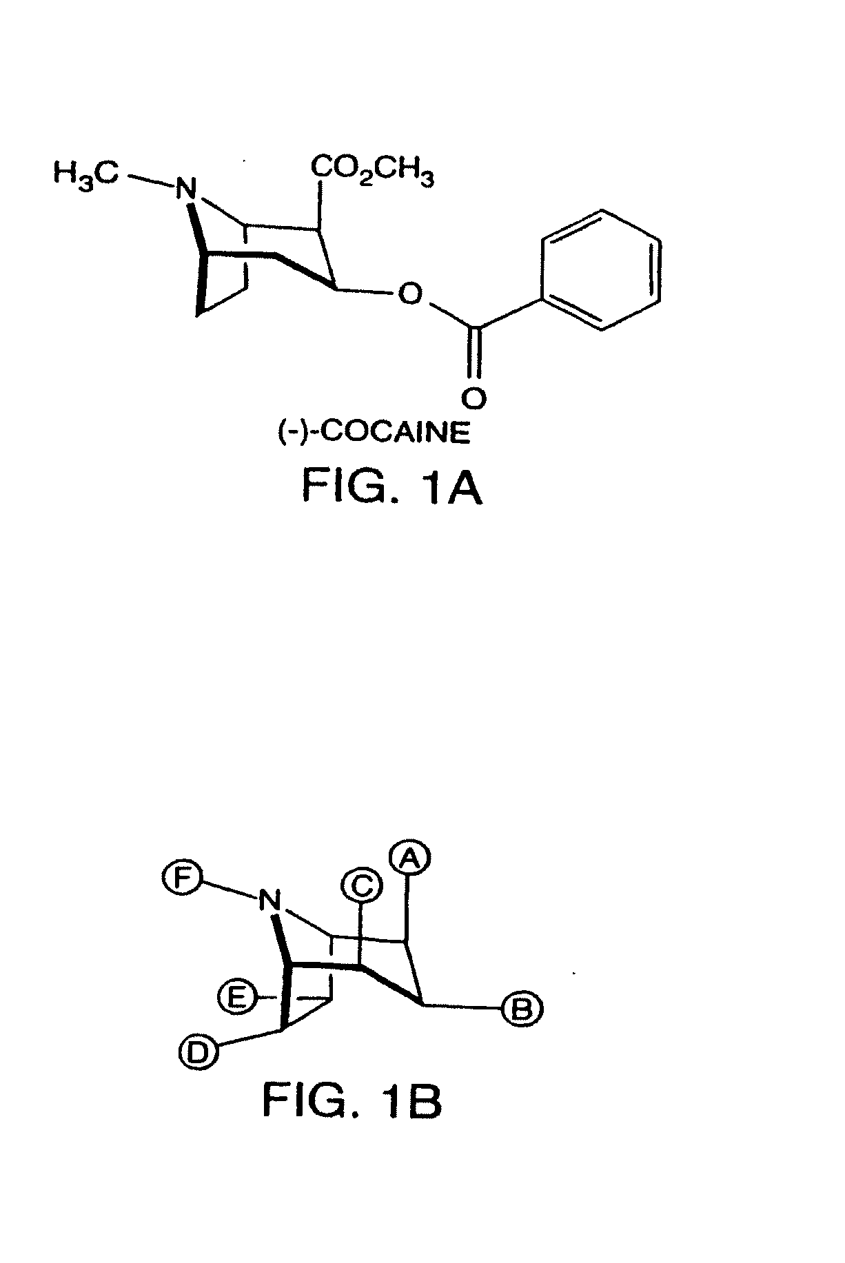 Hapten-carrier conjugates for use in drug abuse therapy and methods for preparation of same