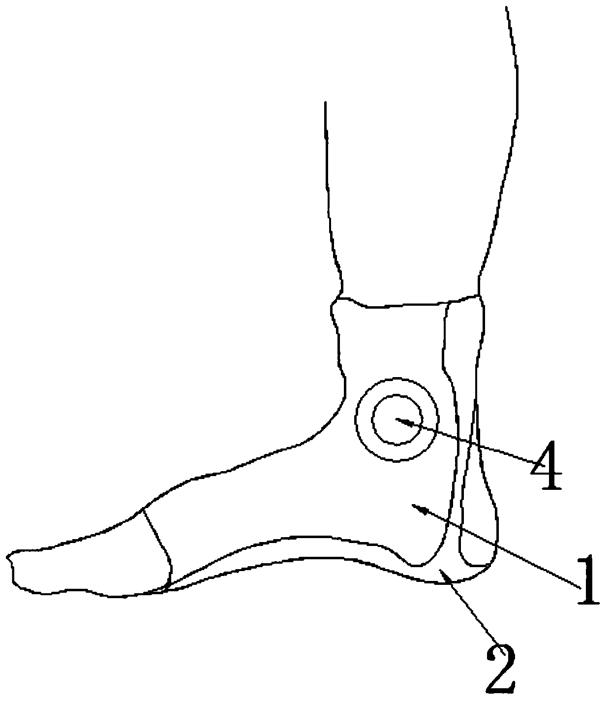 Protective device for foot ankle joint ligament