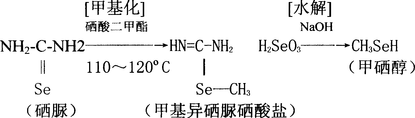 Methyleneseleno propanel method for preparing selenoic methionine