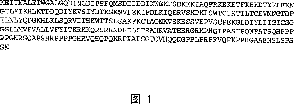 Methods of preventing or treating T cell malignancies by administering CD2 antagonists