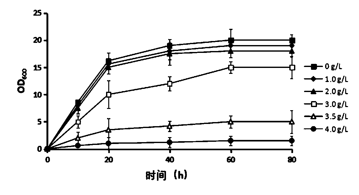 Biological culture method for producing 2-phenylethyl alcohol with high yield from saccharomyces cerevisiae