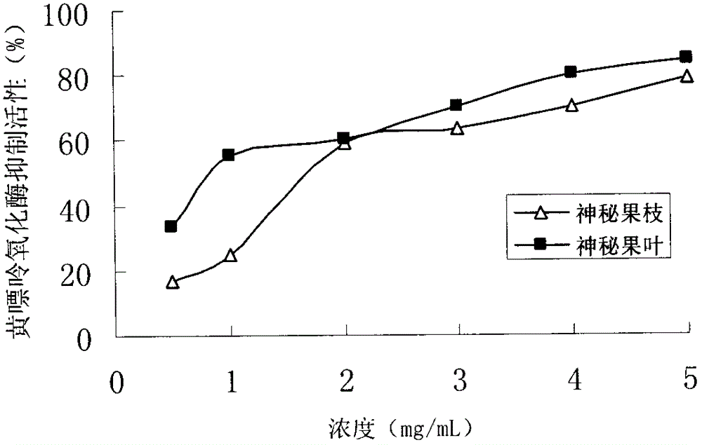 Synsepalum dulcificum Denill tree branch and leaf extract and extraction method and application of extract