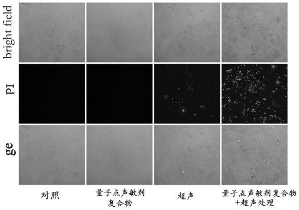 Targeted sonosensitizer compound for sonodynamic therapy and application of targeted sonosensitizer compound