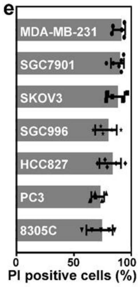 Targeted sonosensitizer compound for sonodynamic therapy and application of targeted sonosensitizer compound