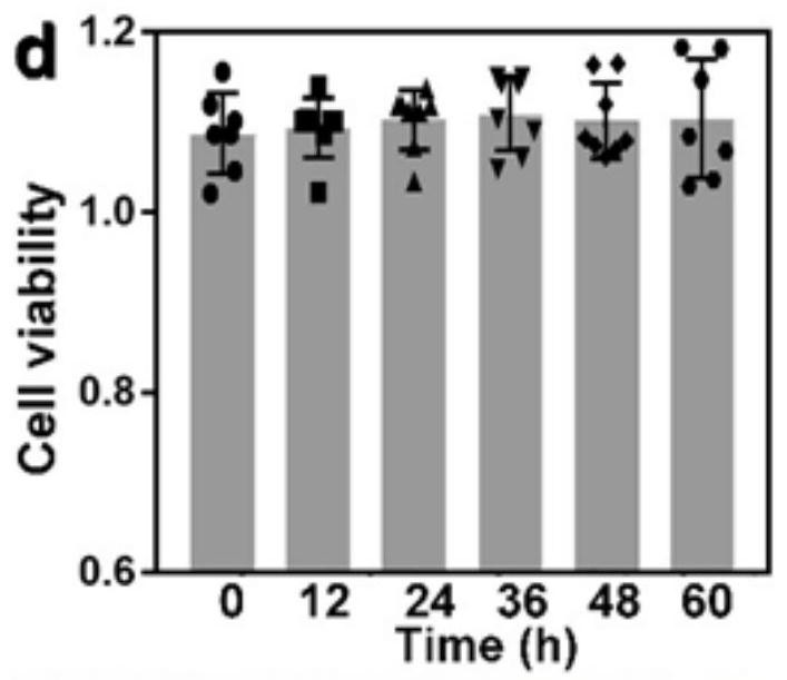 Targeted sonosensitizer compound for sonodynamic therapy and application of targeted sonosensitizer compound