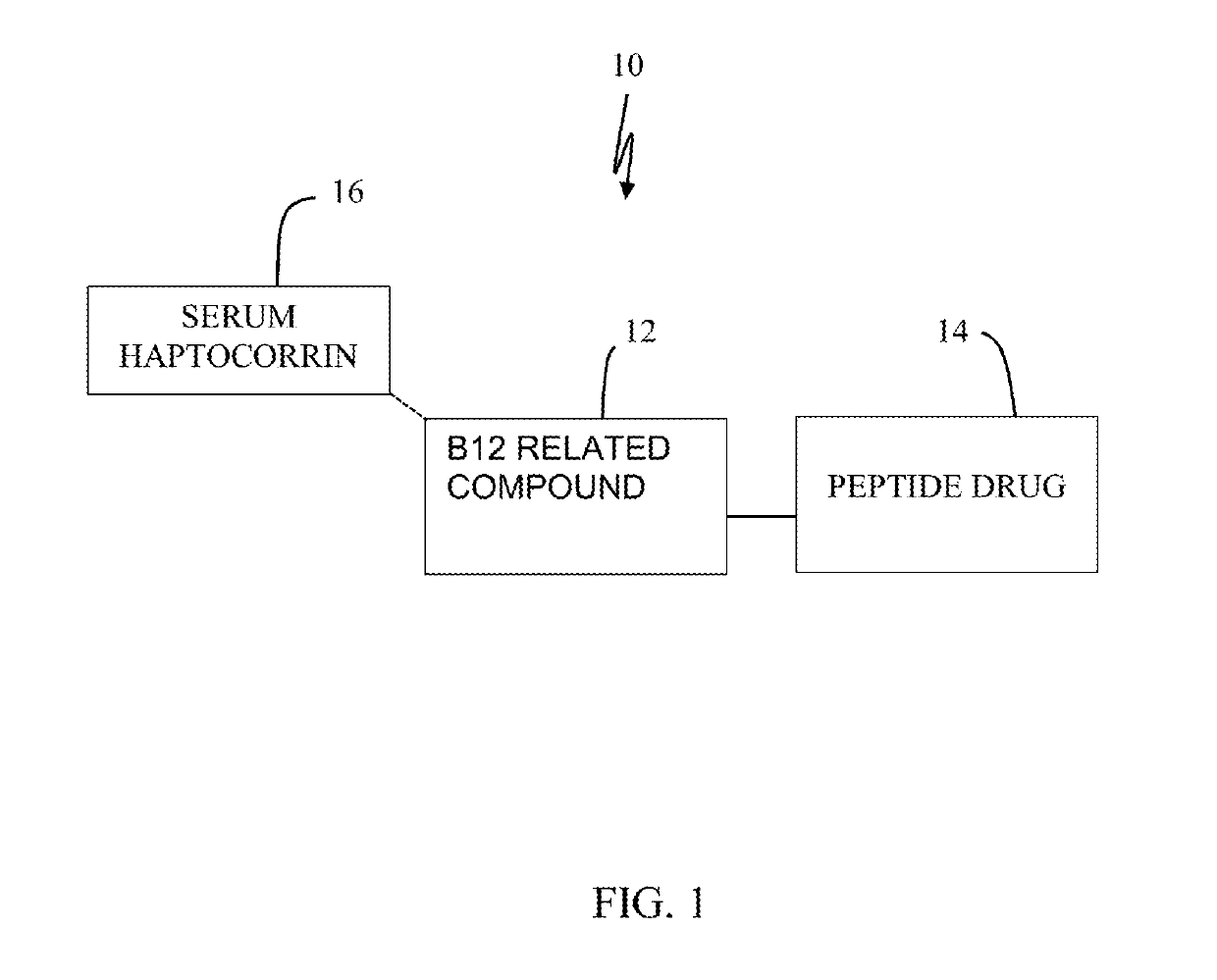 Peptide drug improvement using vitamin b12 and haptocorrin binding substrate conjugates