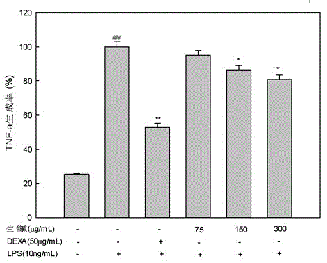 Method for preparing and screening alkaloid and anti-inflammation active ingredients in dactylicapnos scandens