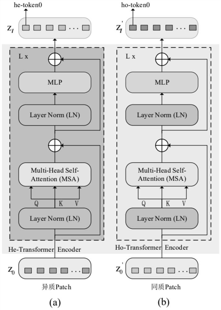 Remote sensing scene classification method and system based on homogeneity and heterogeneity Transformers