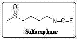 Synthetic method for sulforaphane