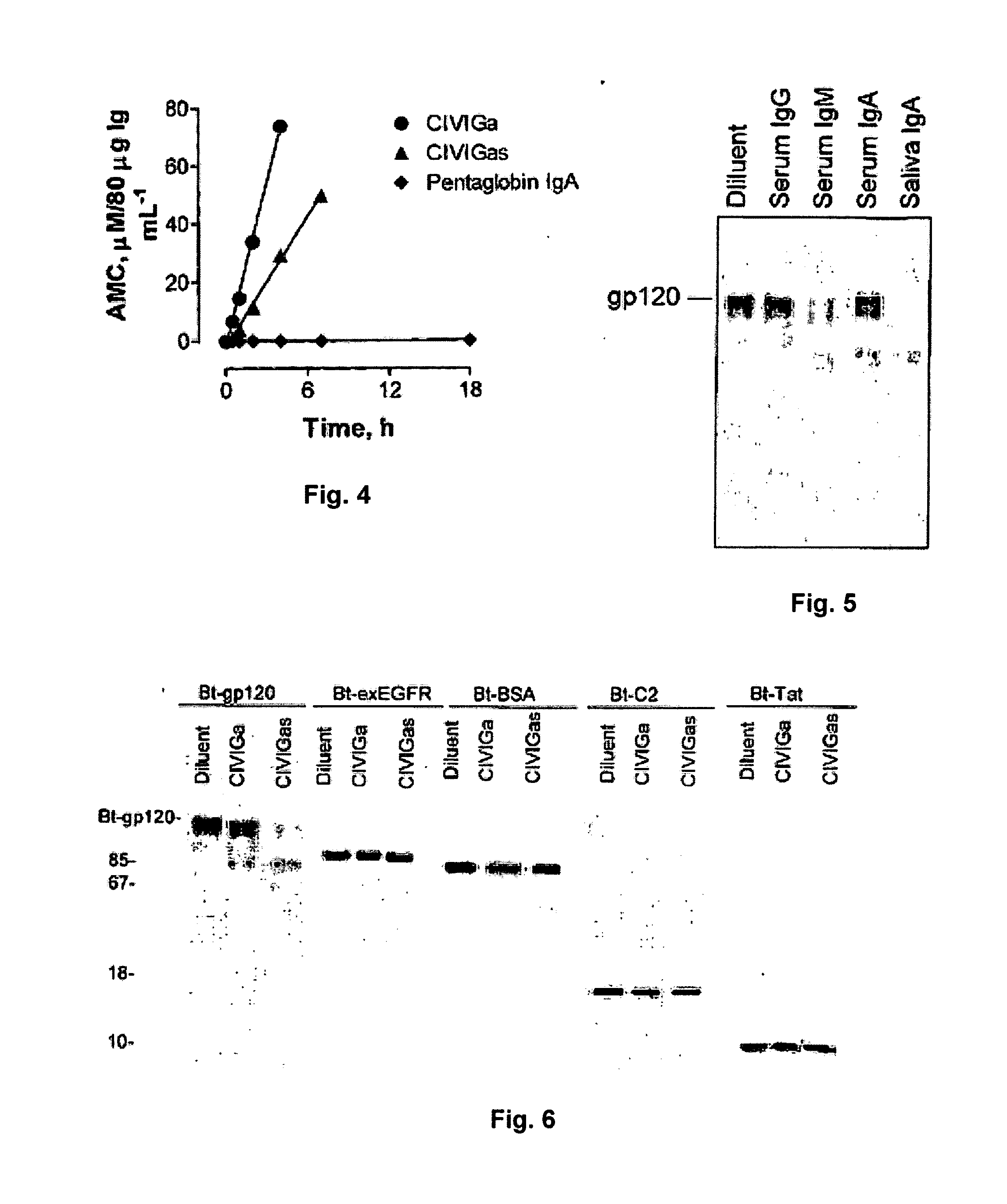 Catalytic Immunoglobulins BBK32 and Uses Therefor