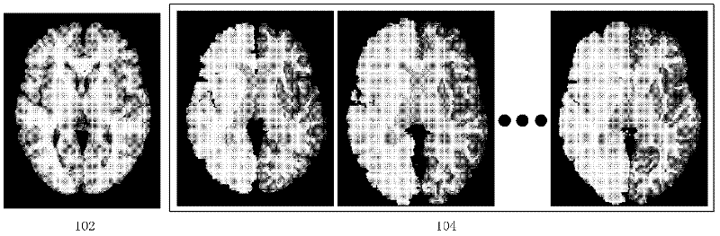Magnetic resonance image brain structure automatic dividing method based on statistics multi-map registration optimization