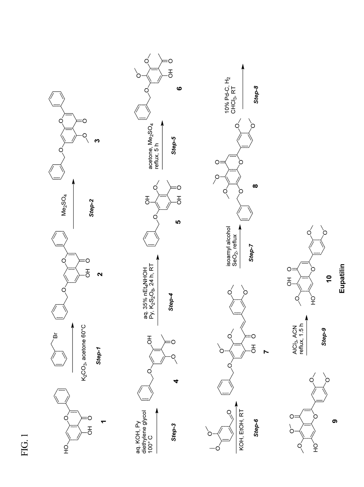Use of chromone derivative as pharmaceutical composition for prevention and treatment of fibrosis using emt inhibitory activity