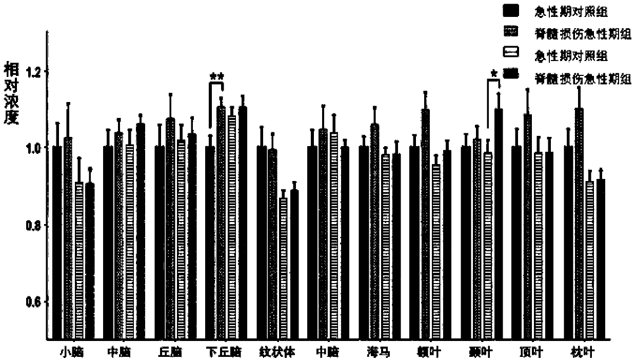 Method for calculating metabolic levels of different brain regions after spinal cord injury by &lt;13&gt;C labeled glucose