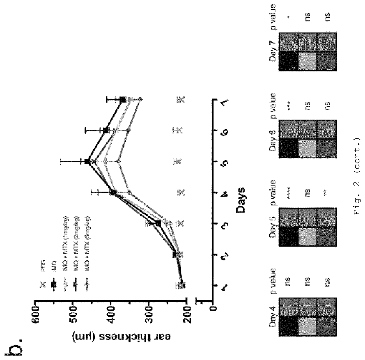 Nanoparticle-Based Therapy of Inflammatory Disorders