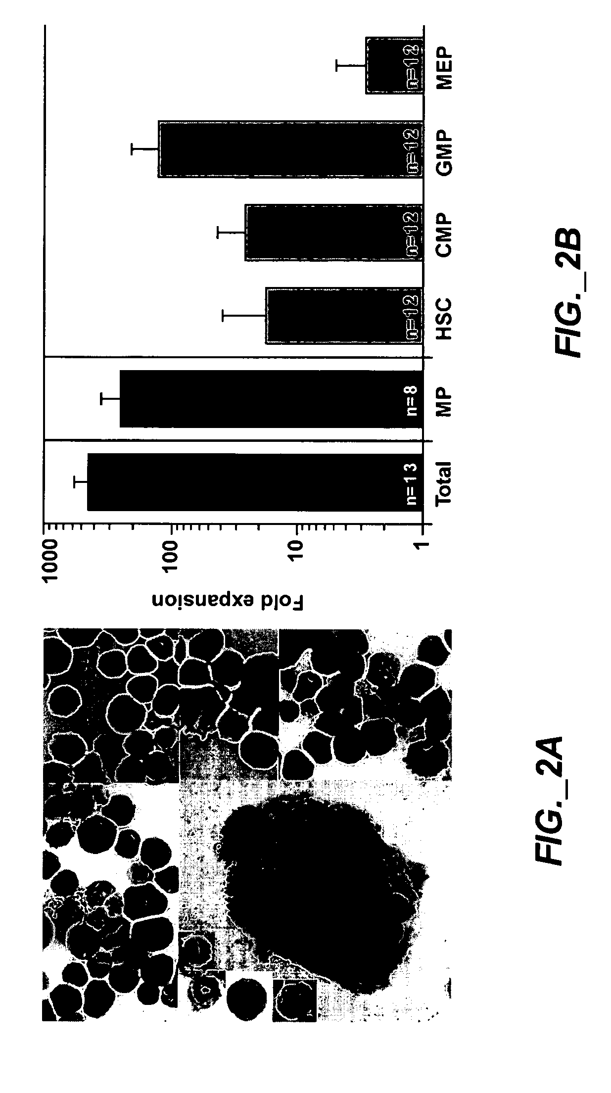 Methods of expanding myeloid cell populations and uses thereof