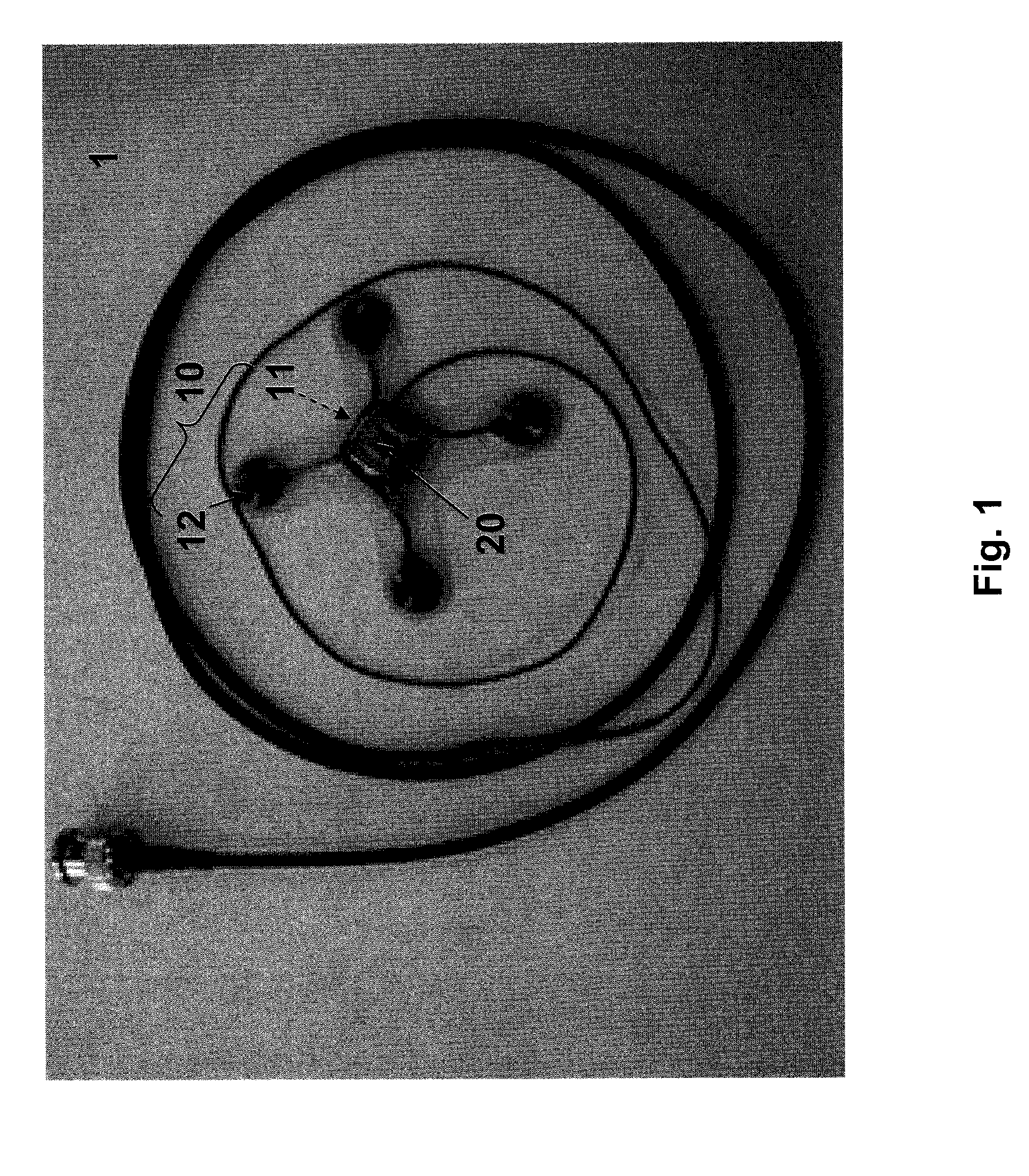 Sensor Device for Detecting LEEG Signals and Detecting Method Thereof