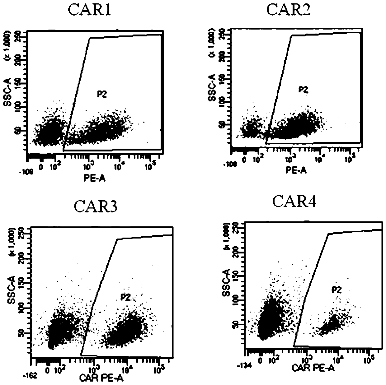 Use of Novel Chimeric Antigen Receptor Modified T Cells for Cancer Therapy