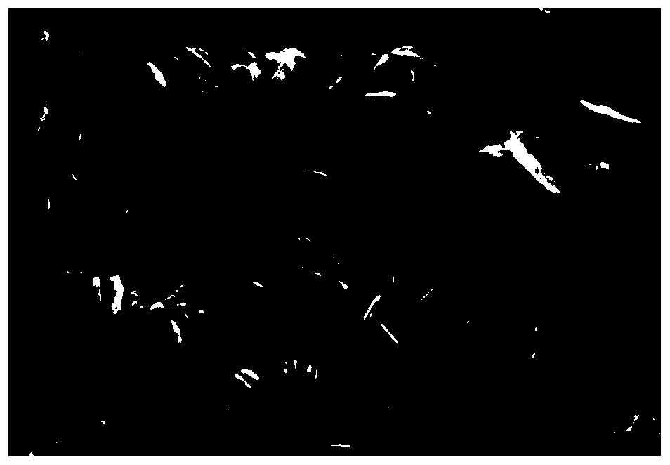 Method for growing bismuth vanadate photo-anode on conductive carrier ...