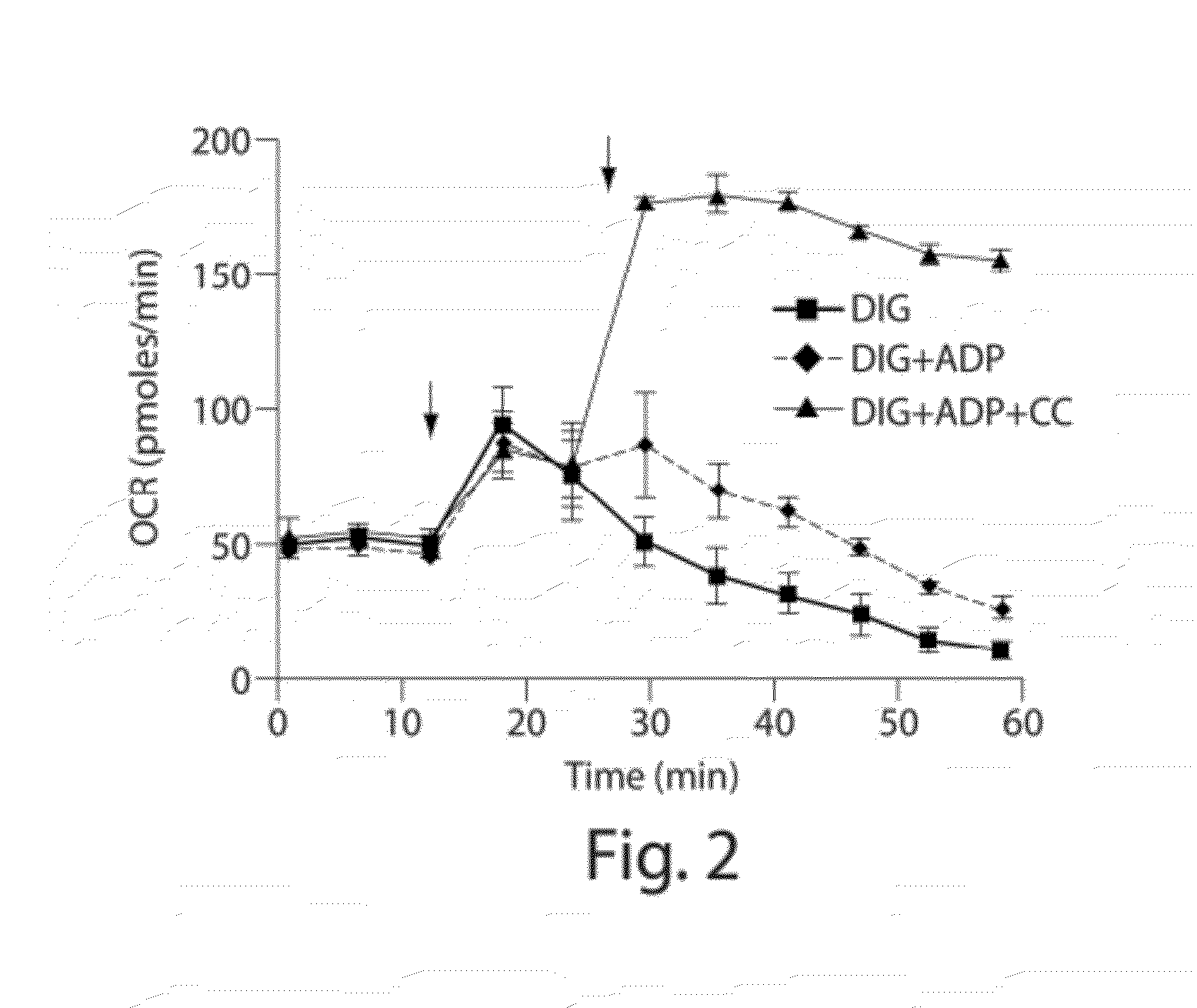 Methods, compositions and kits for assaying mitochondrial function
