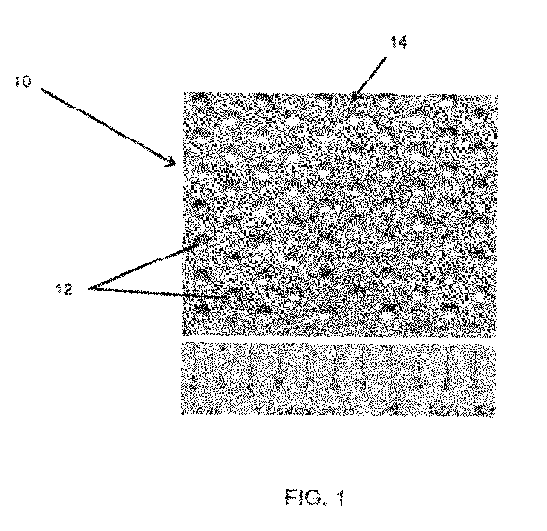 Process for producing through-holes in sheet members