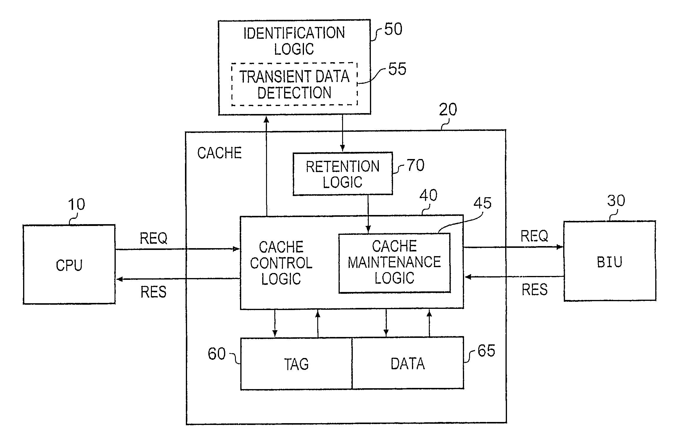 Cache management within a data processing apparatus