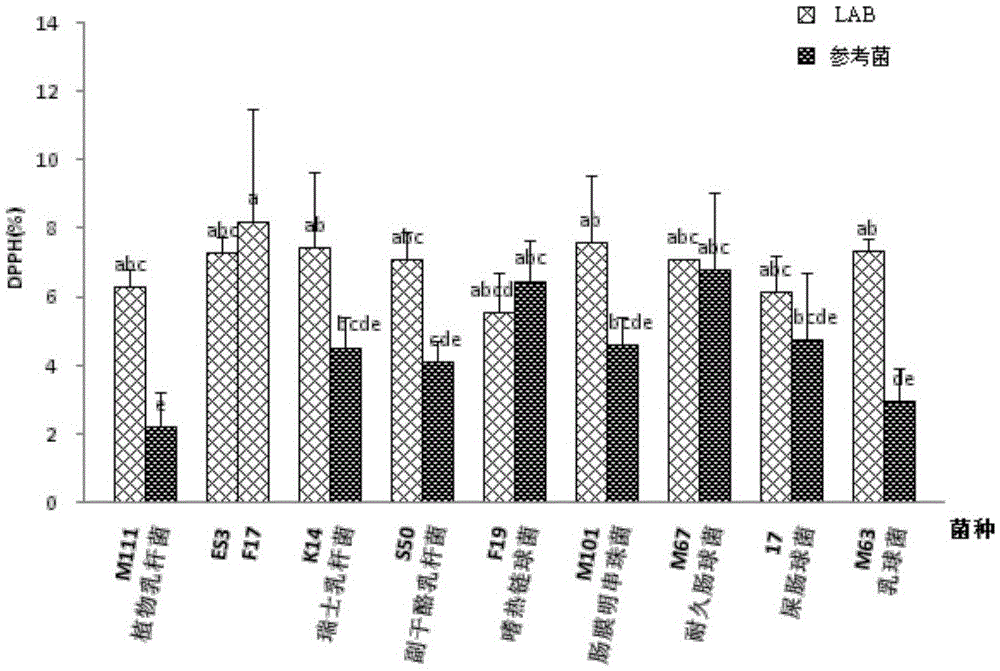German-style lactobacillus with oxidation resistance and bacteriocin producing capability