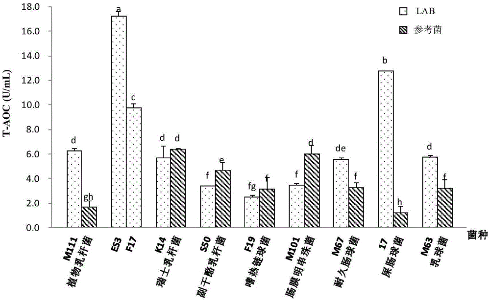 German-style lactobacillus with oxidation resistance and bacteriocin producing capability