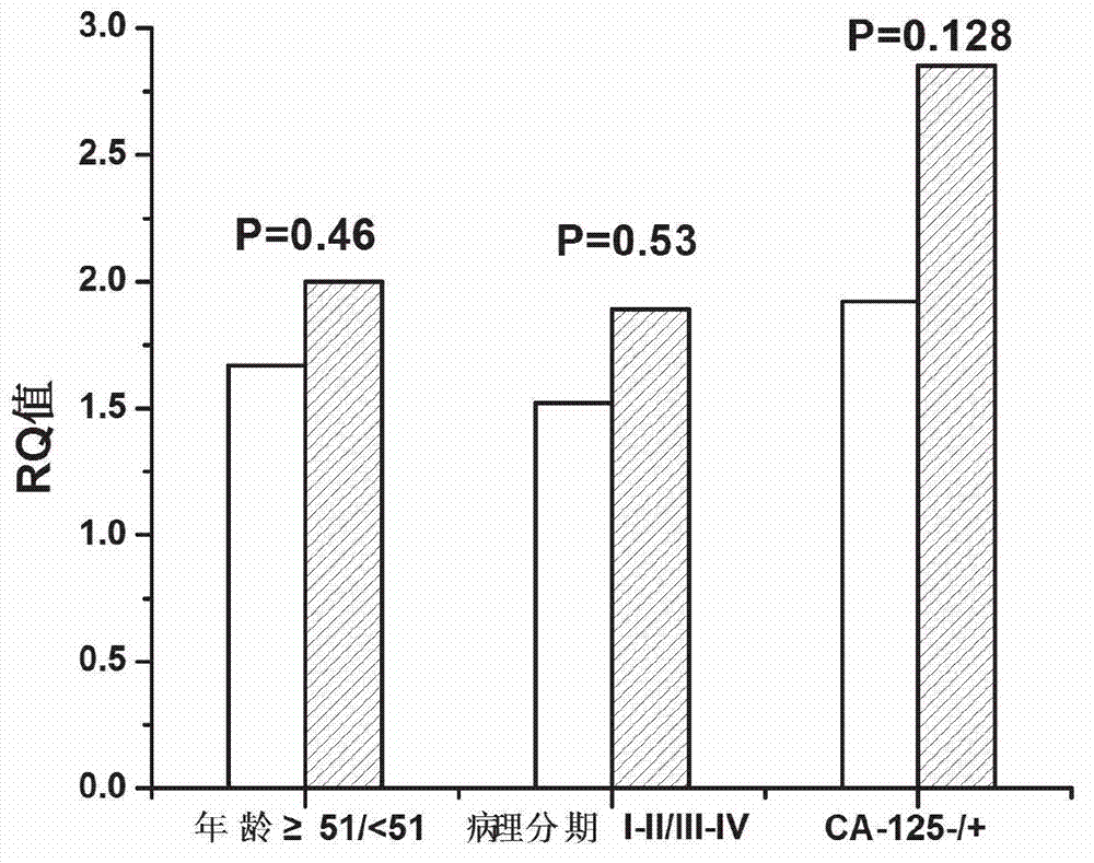 Serology biomarker miR-22 for testing ovarian tumor and application thereof