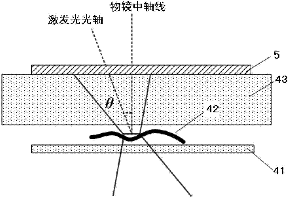 Method and system of laser scanning phase-microscope imaging